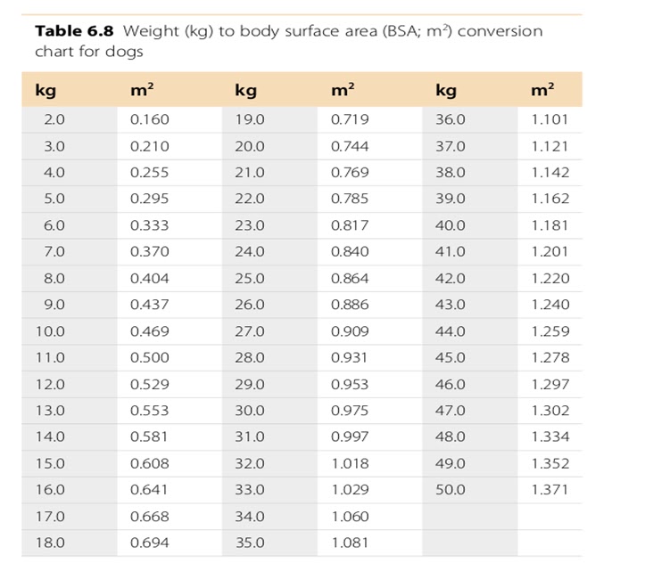 Animal Nica Med Antineoplásicos