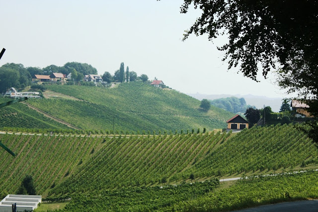 Entlang der Südsteirischen Weinstraße © Copyright Monika Fuchs, TravelWorldOnline