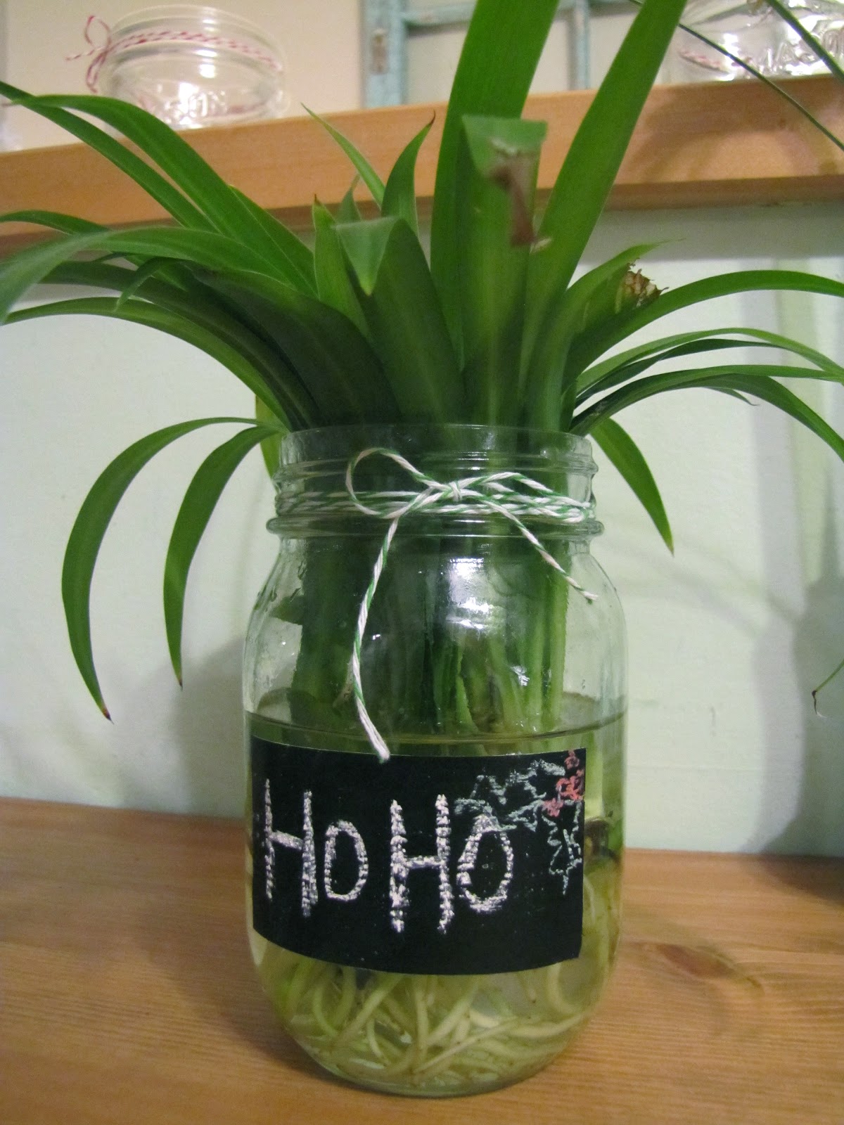 tarino bambino Christmas Vase DIY