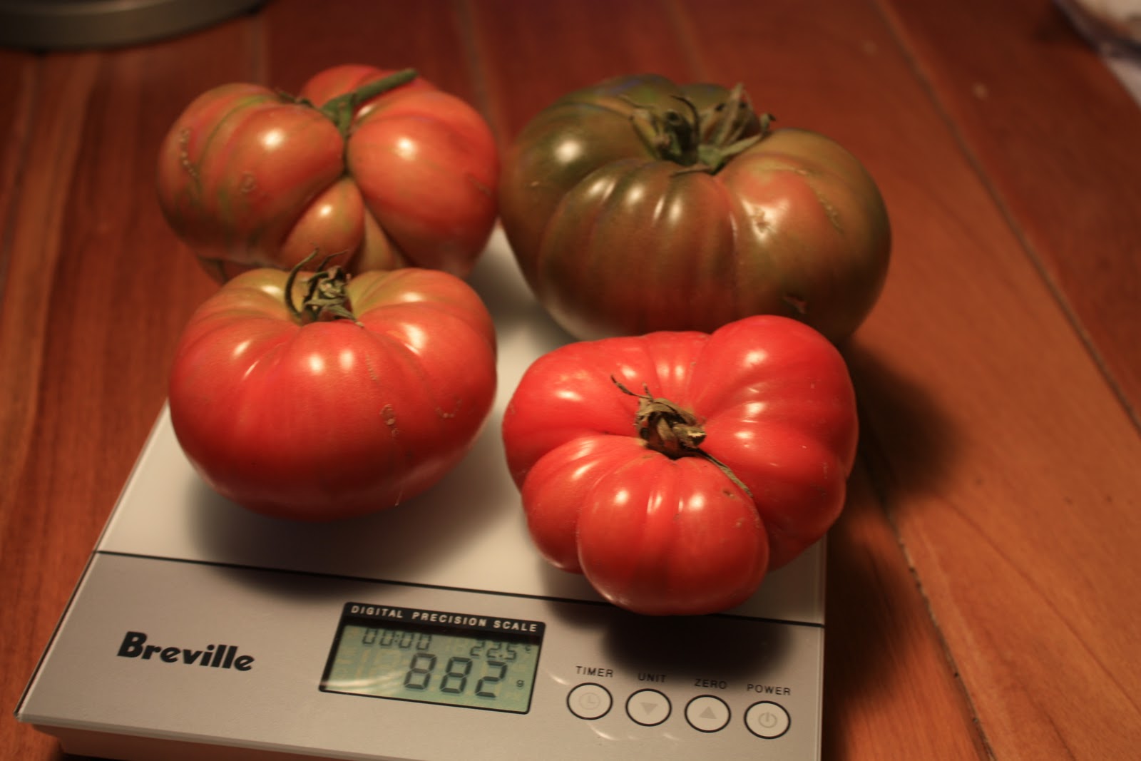 Suburban Homemade Tomato Challenge The Final Weigh In