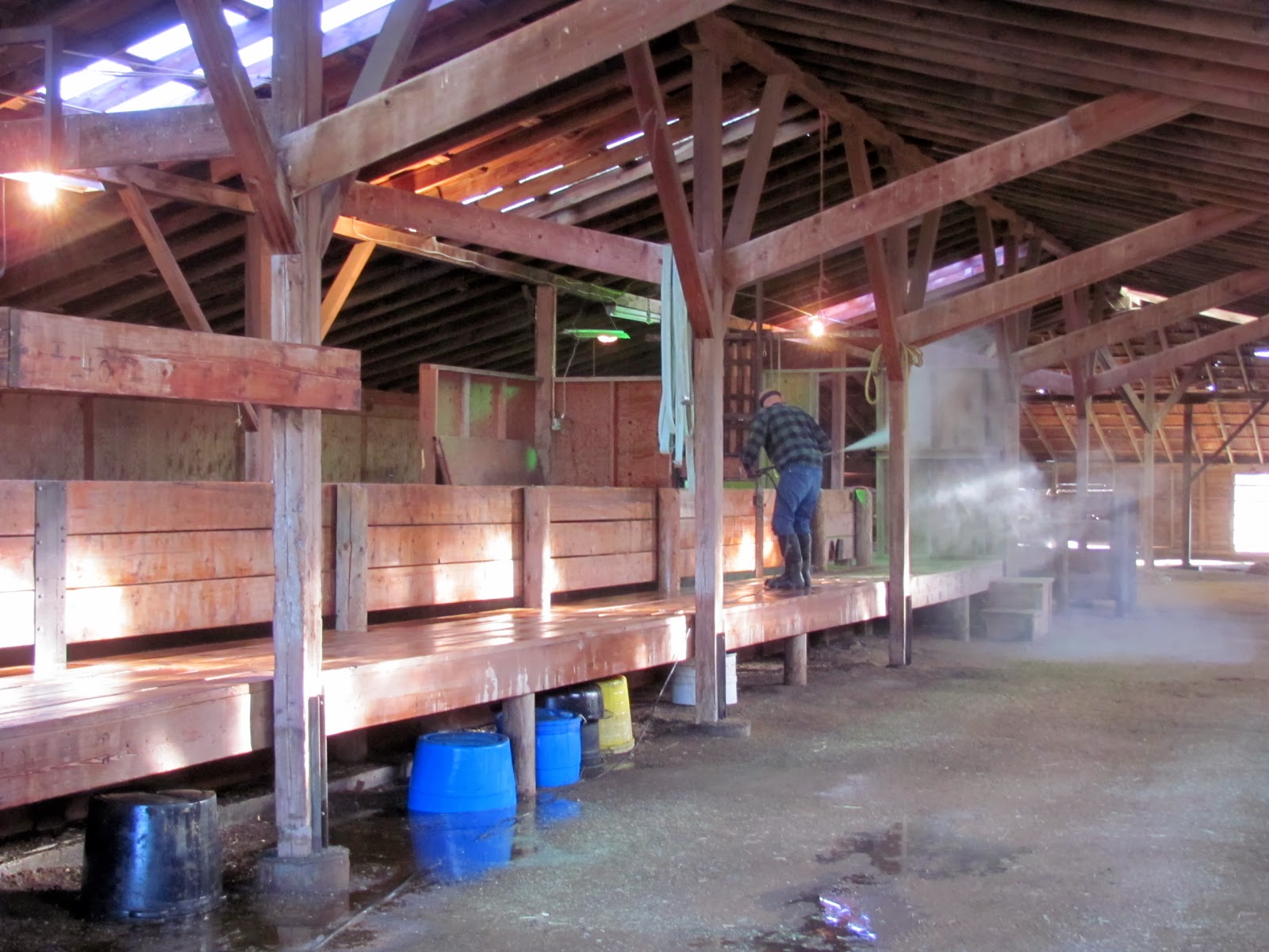 My Ranch Life Time to clean house.