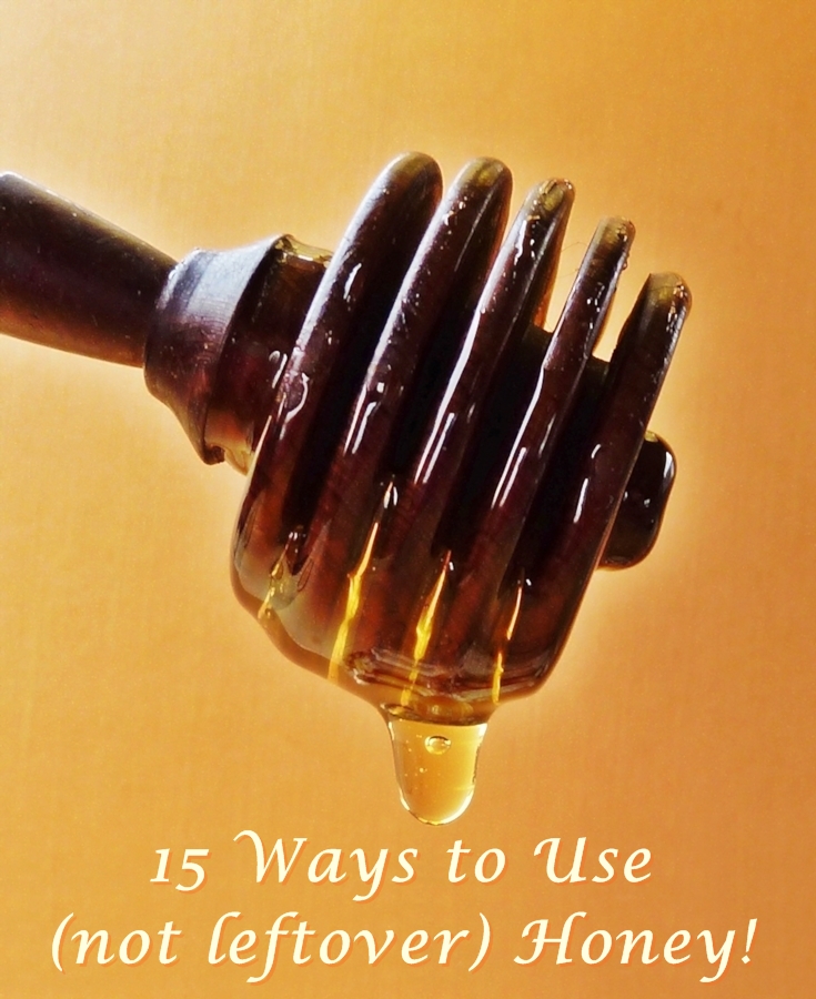15 Ways to Use (not leftover) Honey sudden lunch! suzy bowler
