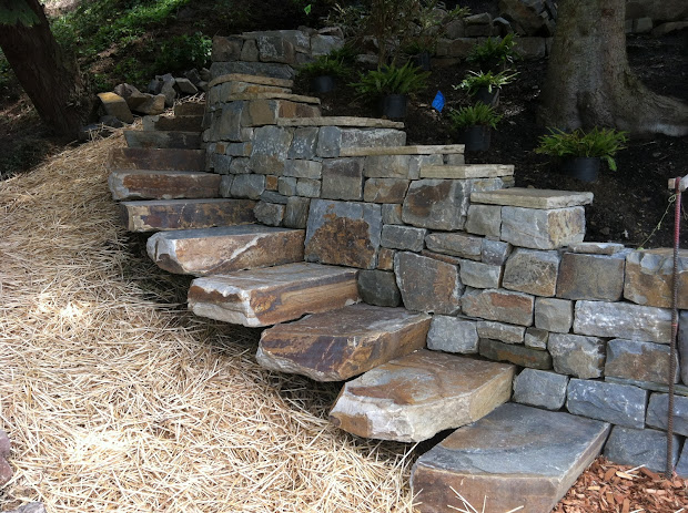 borrowed ground & stone dry