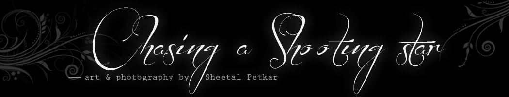 Sheetal Petkar