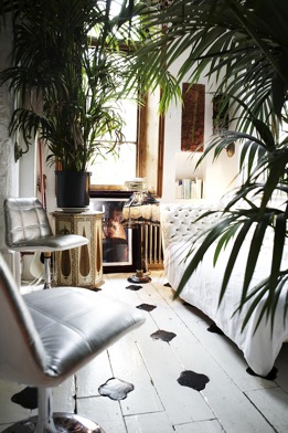 houseplants