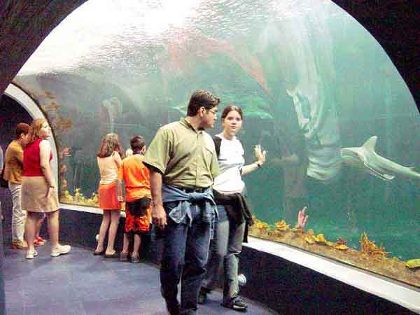 turismo turismo