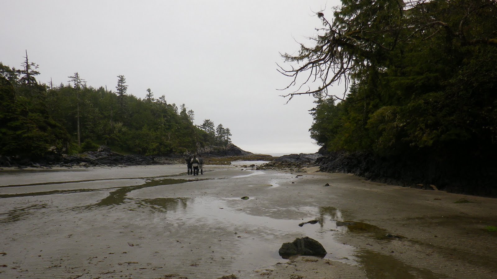 IMGP0290.JPG