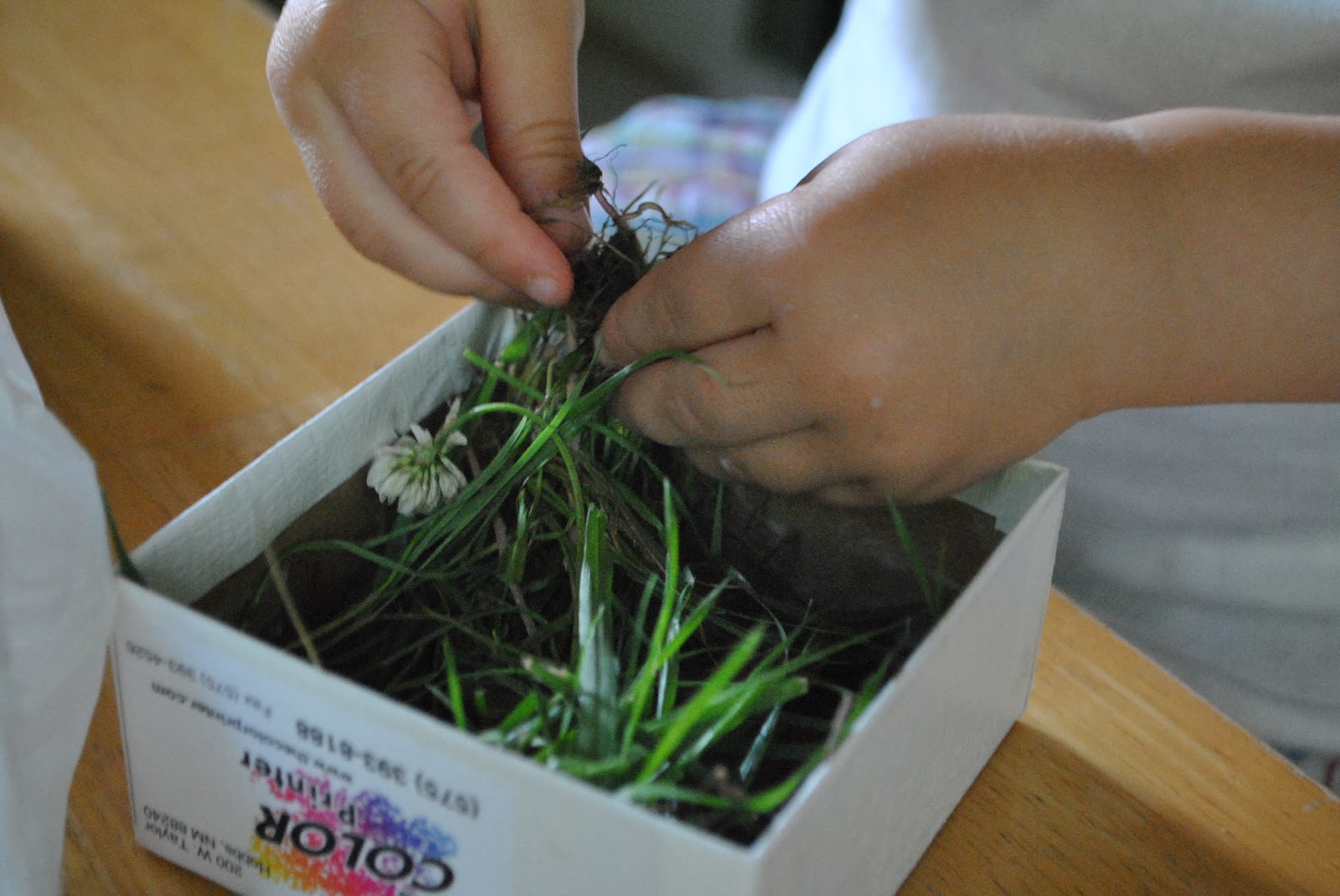 The Iowa Farmer's Wife: Build-Your-Own Nest Activity