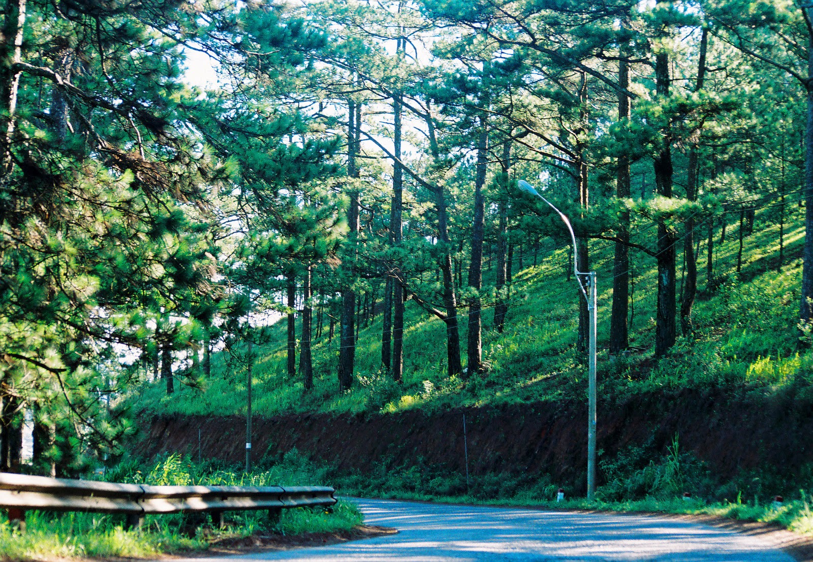 Dalat - City of thousands of pine trees
