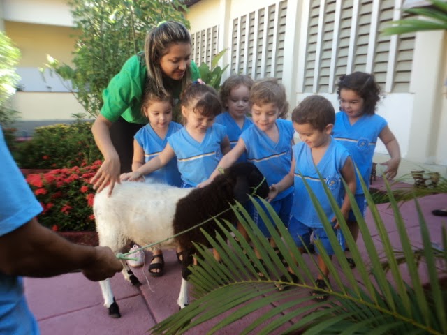 Educação Infantil