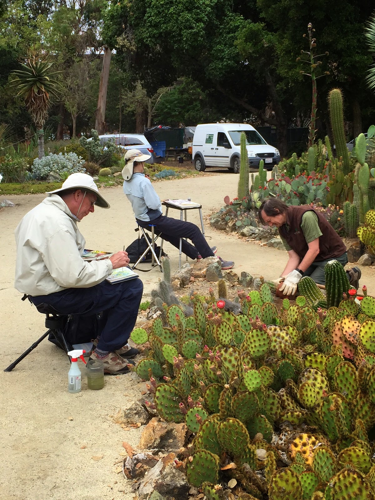 Paintsites Blog Stanford Arizona Cactus Garden Saturday May