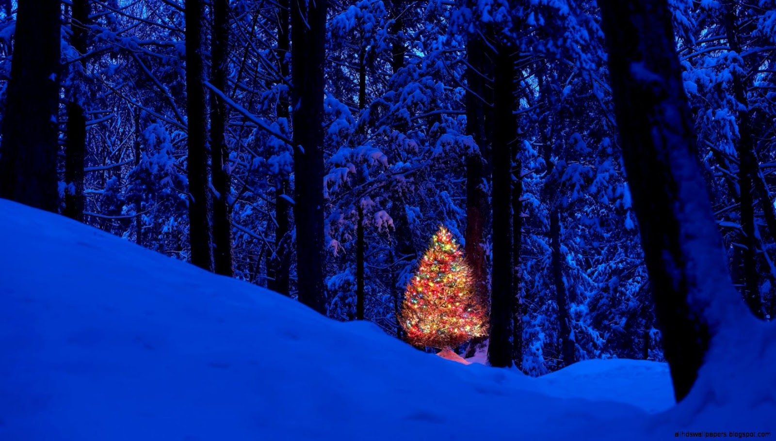 1920X1080 Christmas Tree 1920X1080 Christmas Tree