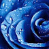 Kitab Fiqh Al Mar'atul Muslimah (Pertemuan 21)