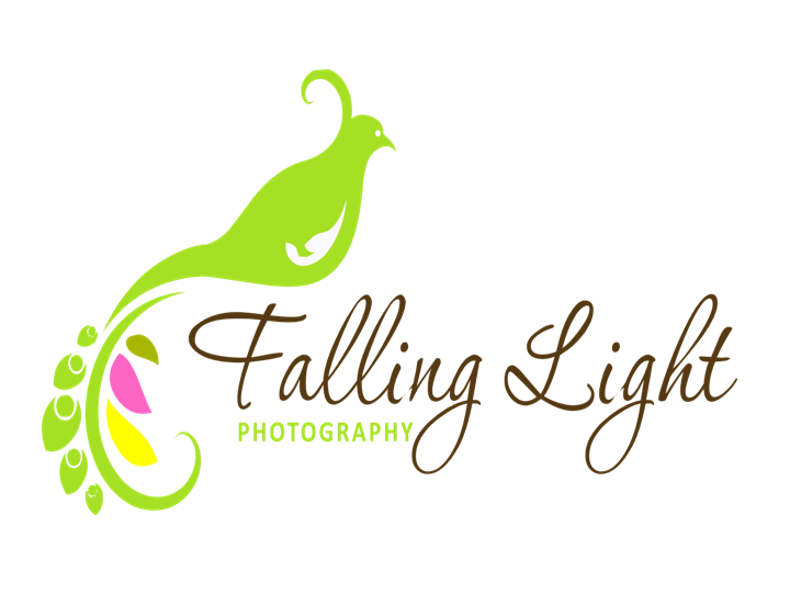 Falling Light Photography
