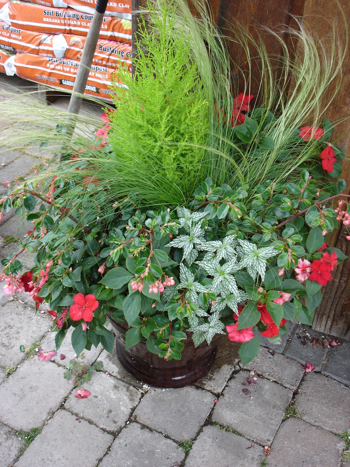 The Outlaw Gardener Vassey Nursery A family affair