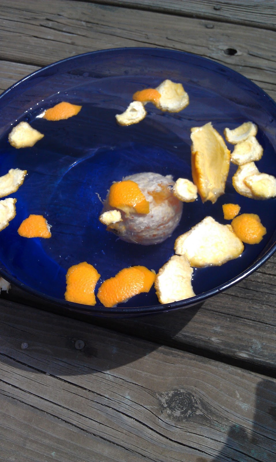 The Cool Science Dad Does an Orange Float or Sink?