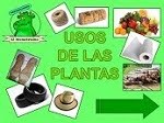 Usos de las Plantas