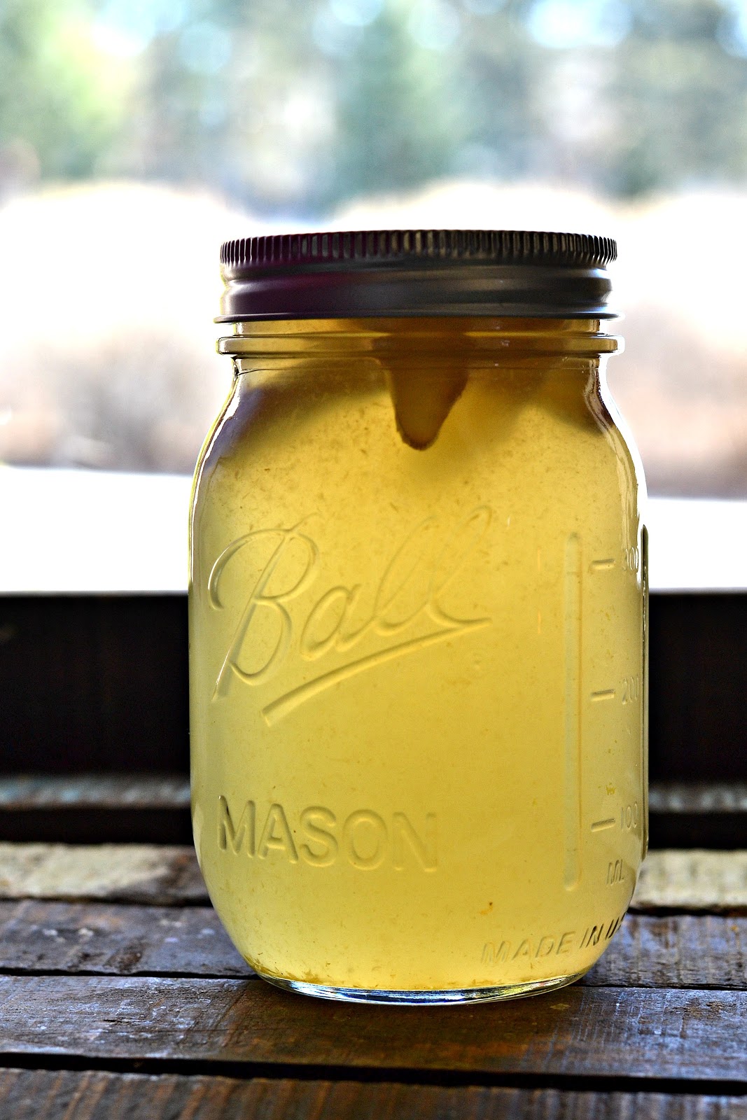 Easy Homemade Grapefruit Ginger Ale Baked New England