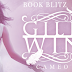 Book Blitz Excerpt + Giveaway - Gilded Wings (Hidden Wings #4) by Cameo Renae 