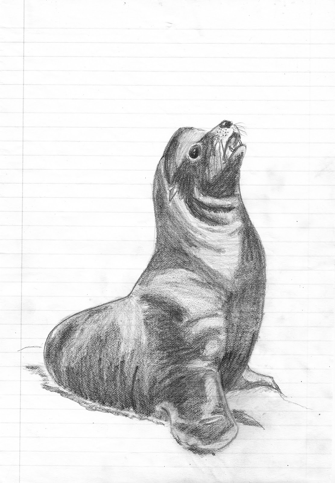 Itching Illustrator Seals Tone Work