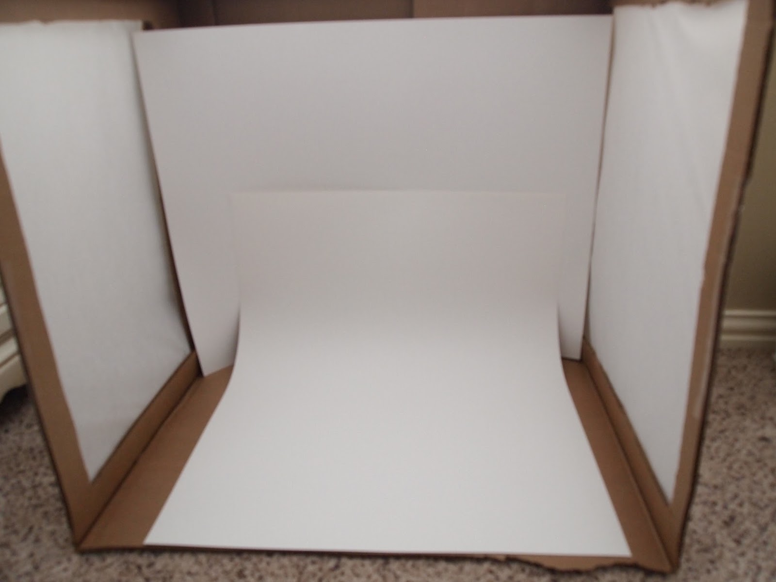 Cathey with an E DIY Light Box for Better Pictures