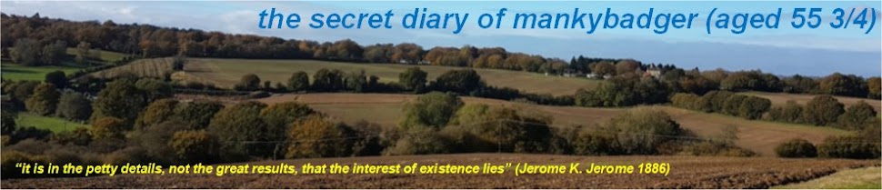 The Secret Diary of Manky Badger