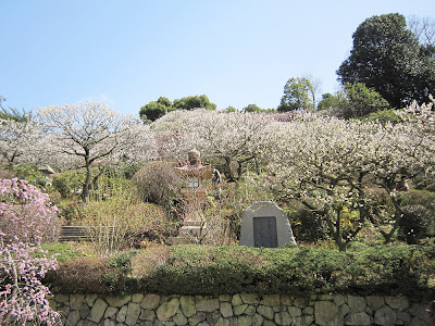兵庫県・中山寺の梅林