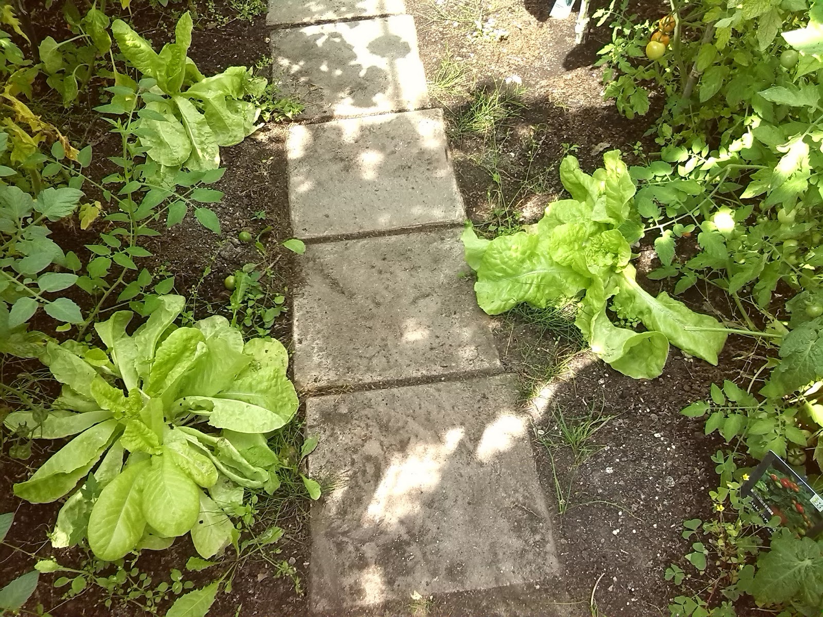 Https Landshaft Info Uk 1 0 Weekly Https Landshaft Info Uk Best