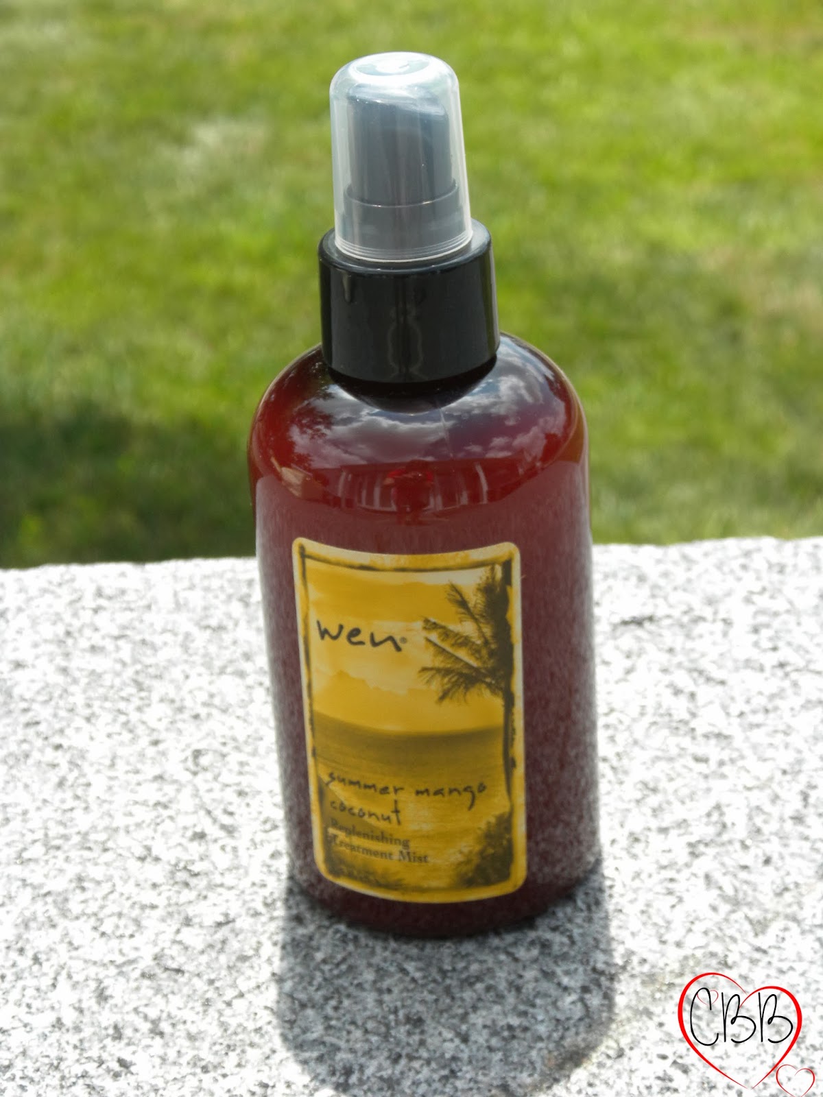 Sammi The Beauty Buff My Favorite Products Of 2013 Hair Skincare