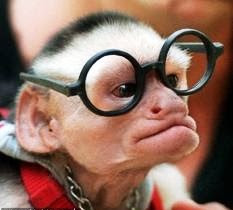 [Imagem: images+%282%29.jpg]