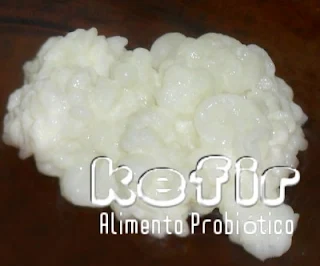 kefir alimento probiótico