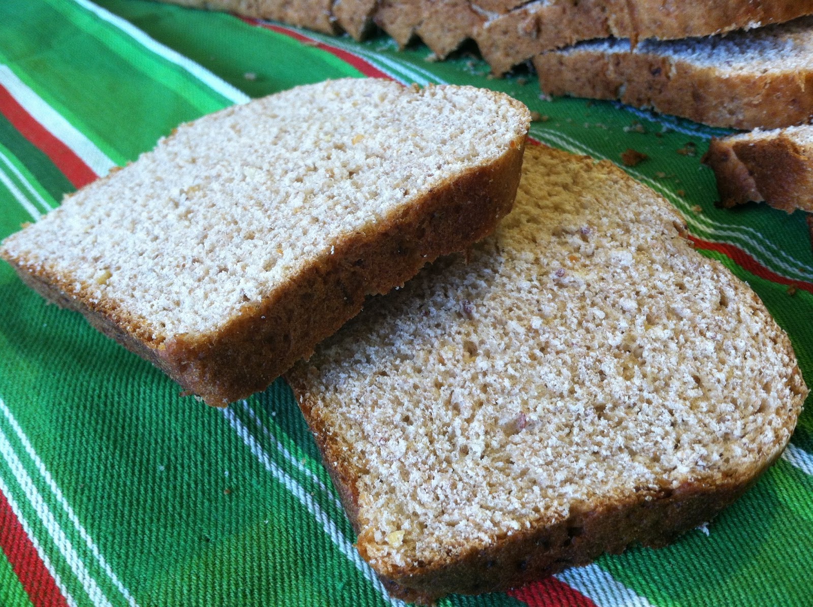 seeshellspace Sprouted Ezekiel 49 Bread