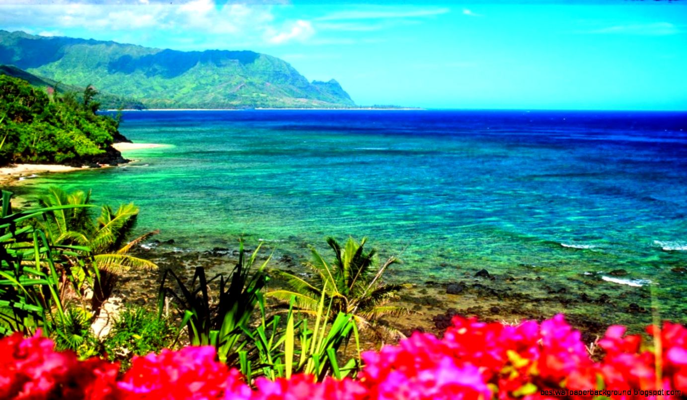 Hawaii Beach Desktop Background Zoom Wallpapers Hawaii Beach Desktop Background Zoom Wallpapers