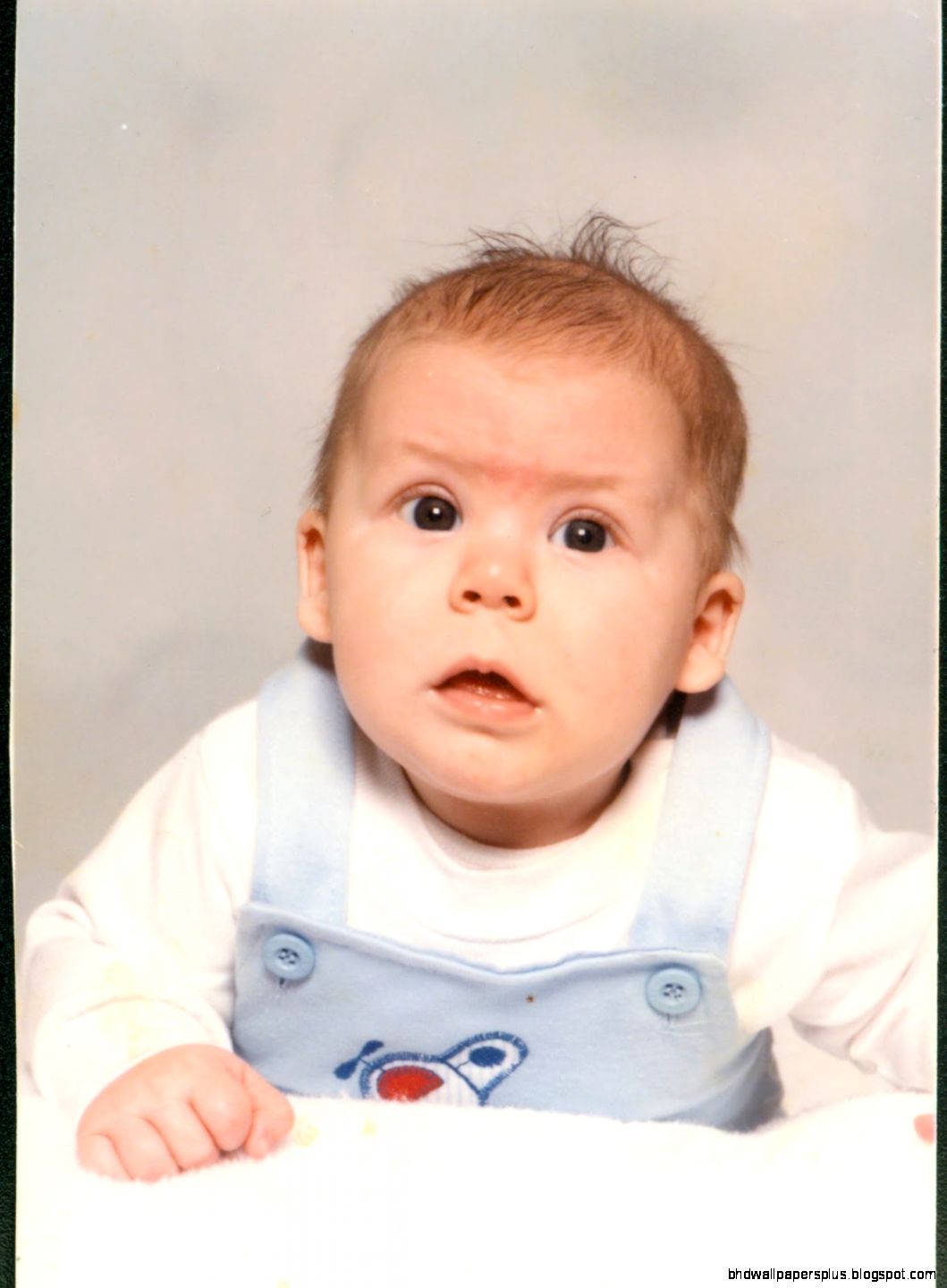 Happy Birthday Ted – Search Results – One Touch Media Happy Birthday Ted – Search Results – One Touch Media