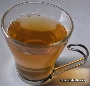 Benefícios do Chá de Amora Receita, emagrecimento e dieta do chá de amora