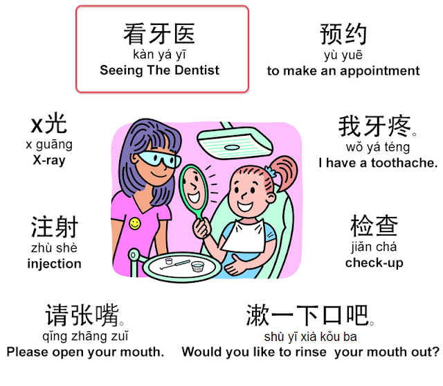 Mandarin Chinese From Scratch Seeing The Dentist Illustrated Phrasebook