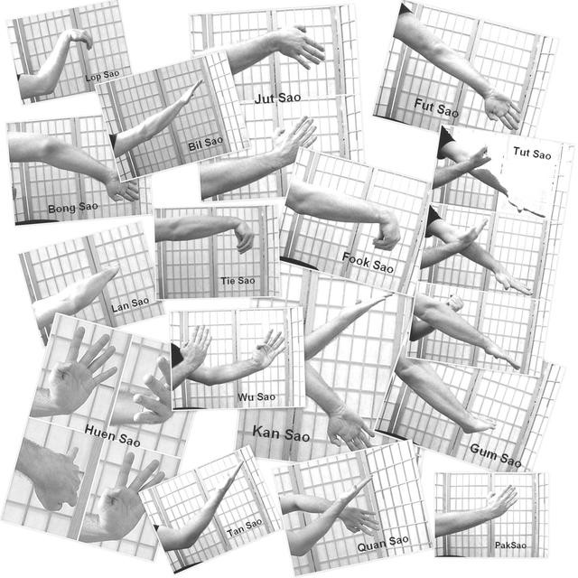 Wingchunlanka wing chun blocks