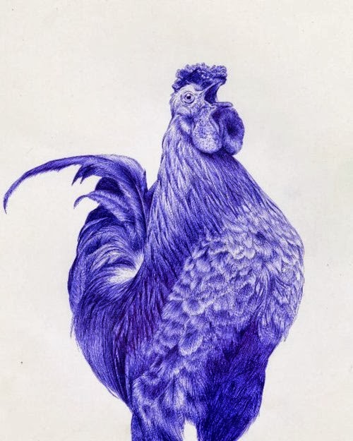 14-Rooster-Sarah-Esteje-ABADIDABOU-Hyper-realistic-Ballpoint-Pen-Animals-www-designstack-co