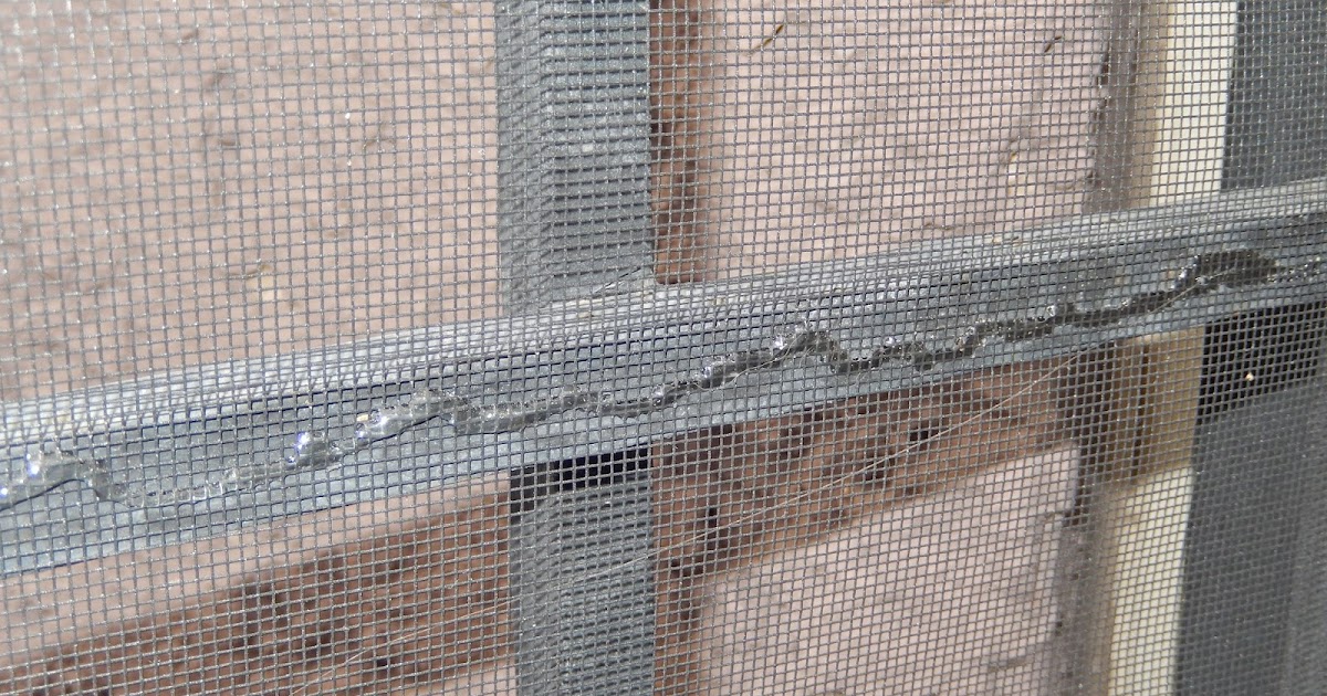 Hardship Homemaking Instant Screen Doors