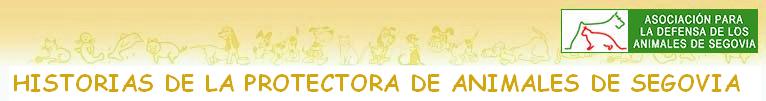 Historias de la Protectora de Animales de Segovia