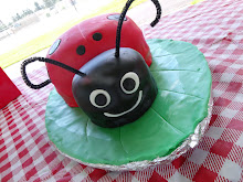 Ladybug Cake