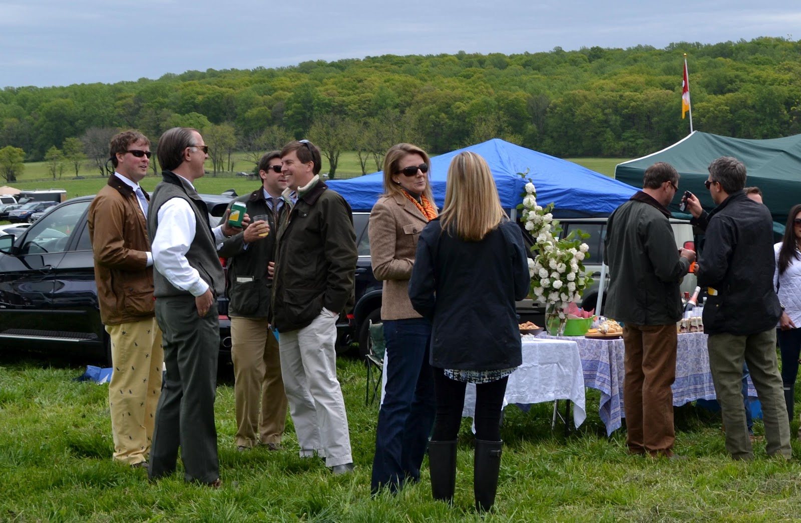Let the Tide Pull Your Dreams Ashore Maryland Hunt Cup I