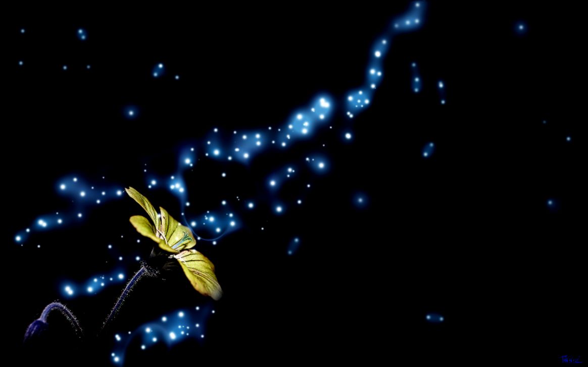 wallpaper Flower Wallpapers Full HD Fantasy Flowers wallpaper Flower Wallpapers Full HD Fantasy Flowers