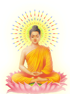 the buddha