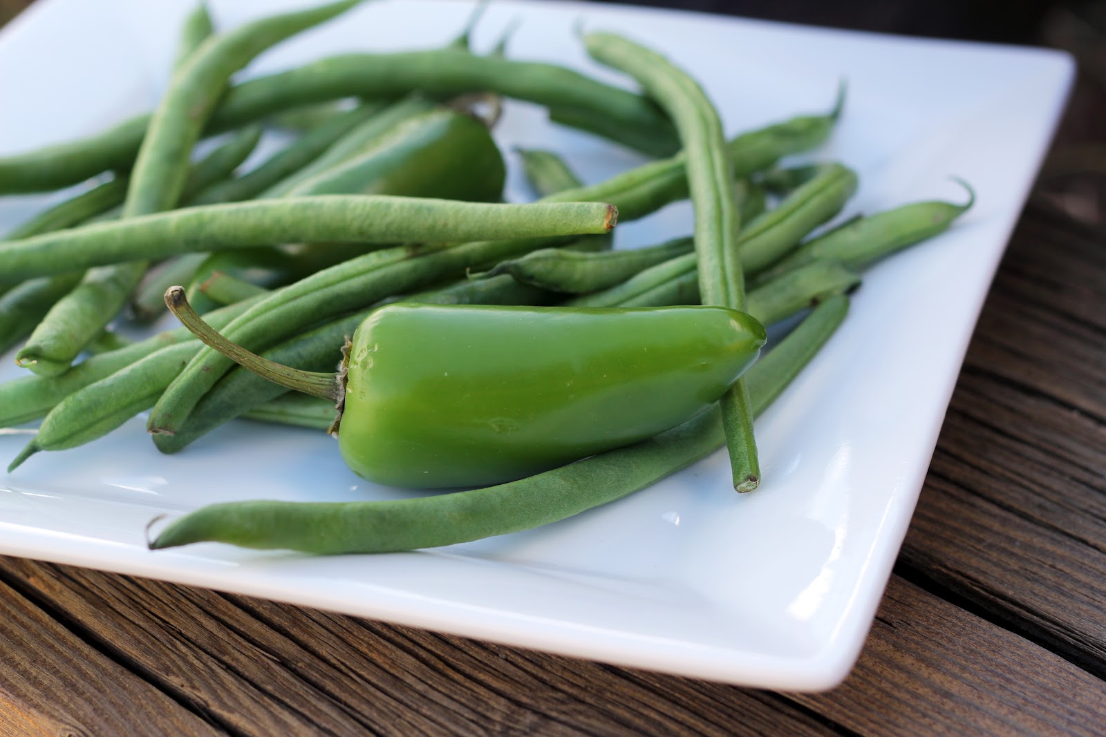 Blue Kale Road Spicy Pickled Green Beans and Jalapenos