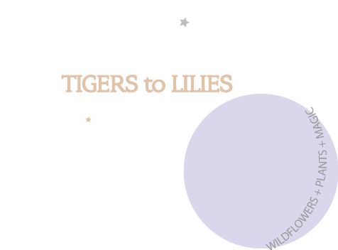 TIGERS TO LILIES