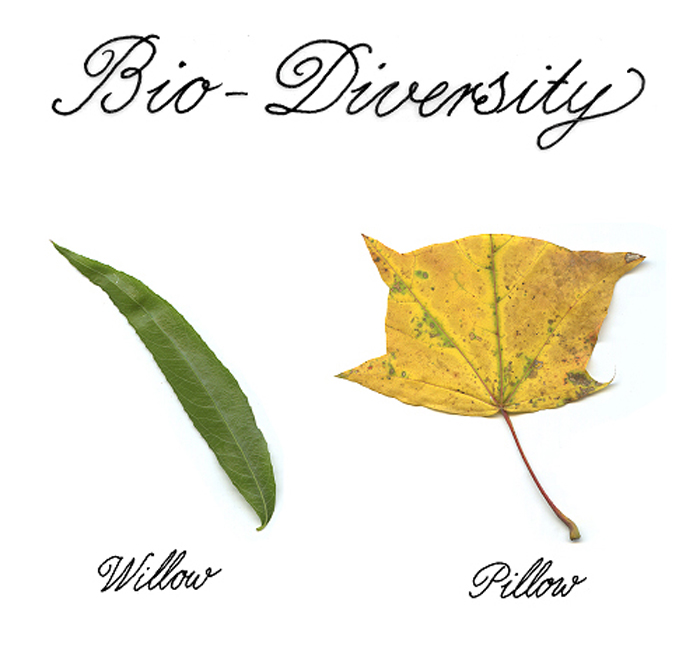 TURNING OVER A NEW LEAF Triple Max Tons