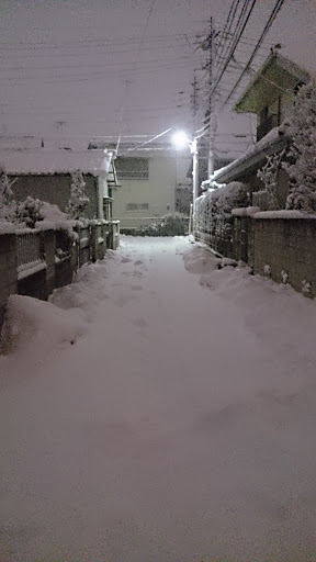 20140221-snow_20140214.jpg