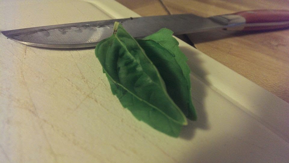 In the Kitchen with Court Cooking 101 Cutting Fresh Basil