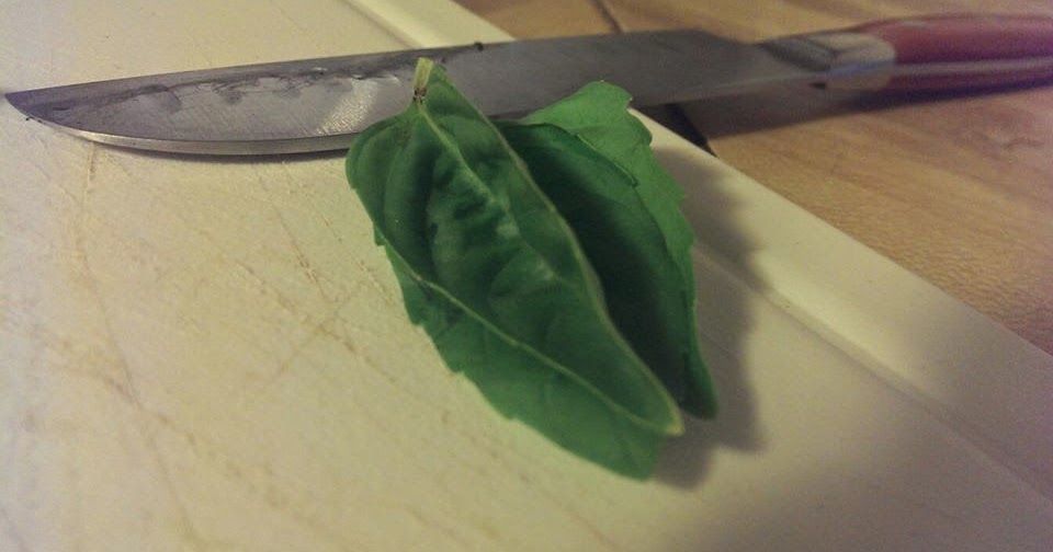 In the Kitchen with Court Cooking 101 Cutting Fresh Basil